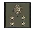 Insígnia de Baixa Visibilidade - General de Exército