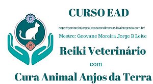 Curso EAD Reiki Veterinário com Cura Animal Anjos da Terra