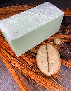 Shampoo em Barra 120gr