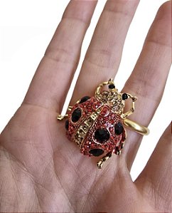 Broche Joaninha