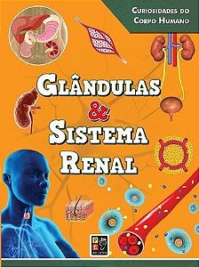 Curiosidades do Corpo Humano Glândulas e Sistema Renal