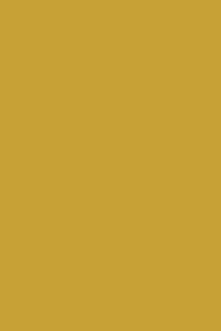 Fundo Liso Cetim 402 (Dourado)