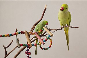 Pintura Personalizada de Pássaros em Tela – Arte Original Feita à Mão