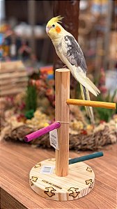 Playground de mesa aves