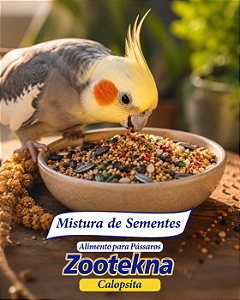 Mistura de Sementes para Calopsita Zootekna 1kg e 10kg