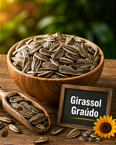 GIRASSOL GRAUDO - 400 G