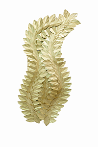 Escultura Iluminada DNA Iluminação E1301 Láurea – Folhas – 130 × 50 cm – LED 3000K