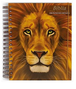 Biblia com pauta para anotação e Harpa -Leão Rosto 