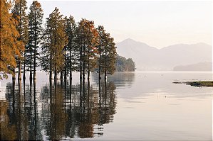 Impressão em Canva Paisagem Outono Árvores no Lago