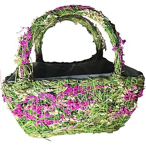 Cesta primavera