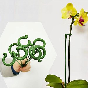 Kit com 10 Estacas para Plantas Varetas de 18 cm para Suporte e Crescimento!