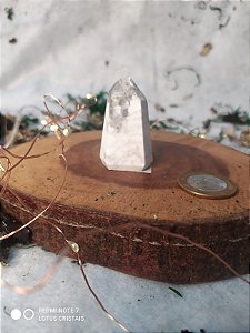 Ponta de Cristal Gerador - Howlita 37  Gramas - Sextavado