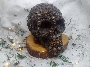 Cranio / Caveira Cranios para Decoração - Todo feita a mão