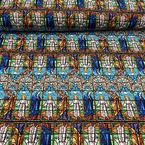 Tricoline Digital Estampa 41