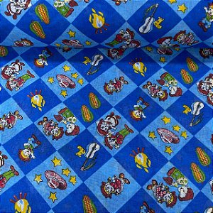Chita Estampa São João Quadriculada Azul