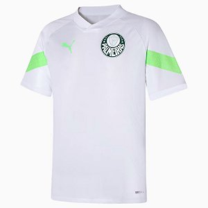 Camisa Palmeiras Puma Treino 2023/24