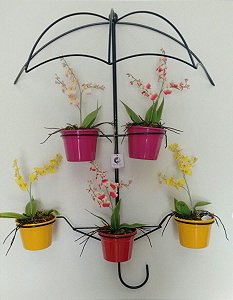 Suporte Para Plantas Jardim GuardaChuva5