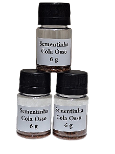 Sementinha Cola Osso   Frasco com 6 g. Kit com 3 frascos