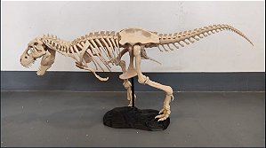 Estatua Tiranossauro Rex 3D