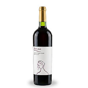 ARTESANA CABERNET FRANC / MERLOT RESERVA