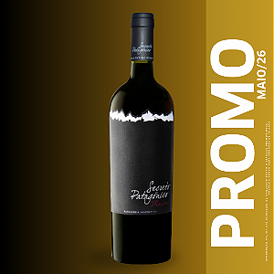 SECRETO PATAGONICO CLASSIC MALBEC