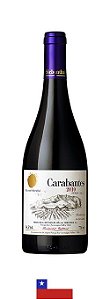 VON SIEBENTHAL CARABANTES SYRAH PREMIUM