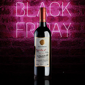 VON SIEBENTHAL PARCELA #7 PREMIUM