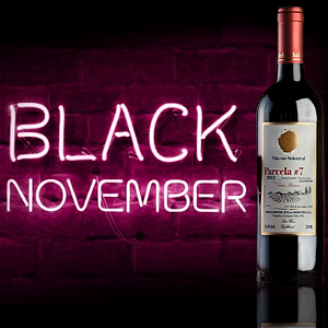 VON SIEBENTHAL PARCELA #7 PREMIUM