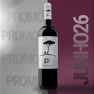 PINO DONCEL BLACK