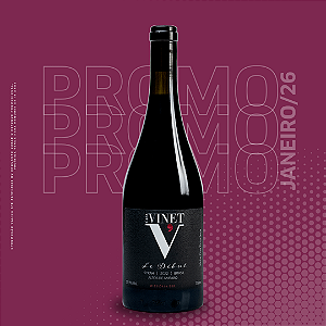 CASA VINET LE DÉBUT SYRAH