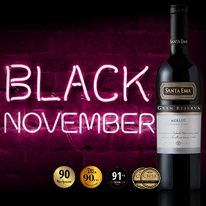 SANTA EMA GRAN RESERVA MERLOT