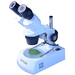 Estereomicroscópico Binocular, Aumento 10X, 20X, 40X e 80X - TIM-20