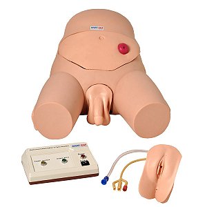 Simulador Cateterismo Bissexual com Dispositivo de Controle - TGD-4008