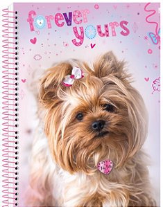 CADERNO CD UNV 10MAT I LOVE PET SAO DOMINGOS