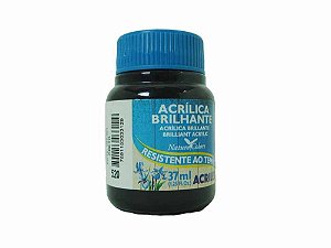 TINTA ACRILICA BRILHANTE PRETO 37ML ACRILEX 520