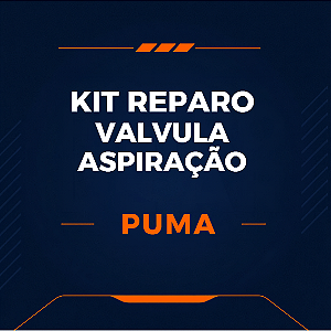 KIT DE REPARO VALVULA ASPIRAÇÃO - PUMA SYSTEM - 148.133