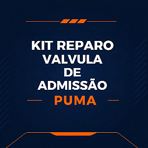 KIT DE REPARO VÁLVULA DE ADMISSÃO - PUMA SYSTEM - 148.130