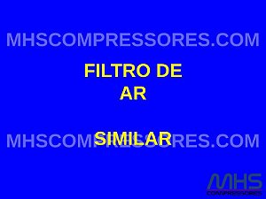 FILTRO DE AR - ELGI - M008905538