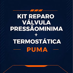 KIT REPARO VÁLVULA PRESSÃO MÍNIMA + TERMOSTÁTICA - SIMILAR ATLAS COPCO - 2901200653