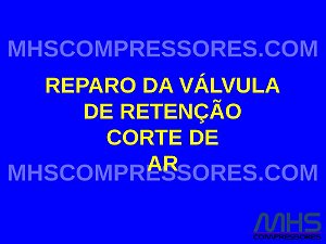 KIT REPARO DA VÁLVULA DE RETENÇÃO CORTE DE AR - SIMILAR ATLAS COPCO - 2906096100