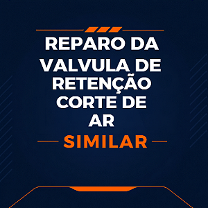 KIT DE REPARO DA VÁLVULA DE RETENÇÃO CORTE DE AR - SIMILAR ATLAS COPCO - 2906009300