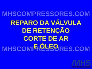 KIT DE REPARO DA VÁLVULA DE RETENÇÃO CORTE DE AR E ÓLEO - SIMILAR ATLAS COPCO - 2906096000