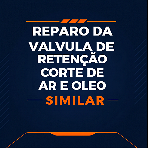 KIT DE REPARO DA VÁLVULA DE RETENÇÃO CORTE DE AR E ÓLEO - 2901202000