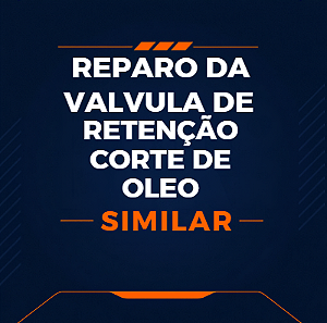 KIT DE REPARO DA VÁLVULA DE RETENÇÃO CORTE DE ÓLEO - 2906009400