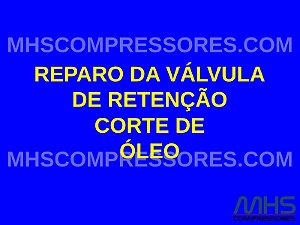 KIT DE REPARO DA VÁLVULA DE RETENÇÃO CORTE DE ÓLEO - 2901021700