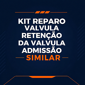 KIT DE REPARO DA VÁLVULA RETENÇÃO DA VÁLVULA ADMISSÃO 3” - 021.0101-0