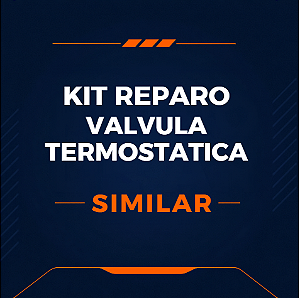 KIT DE REPARO DA VÁLVULA TERMOSTÁTICA - SIMILAR - 3060648
