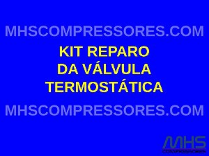 KIT DE REPARO DA VÁLVULA TERMOSTÁTICA - SIMILAR - 3060648