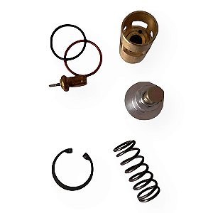 CONJUNTO REPARO VÁLV TERMOSTÁTICA 021.0150-0