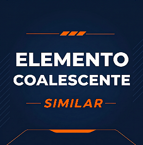 ELEMENTO FILTRANTE - SIMILAR - EF0300